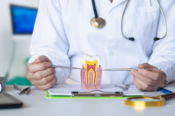 Best Mobile Emergency Dentist in Shpee Neck, MA
